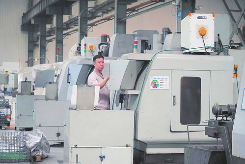 龙头带动集群发展 数智赋能产业升级——液体壁纸产业的转型之路