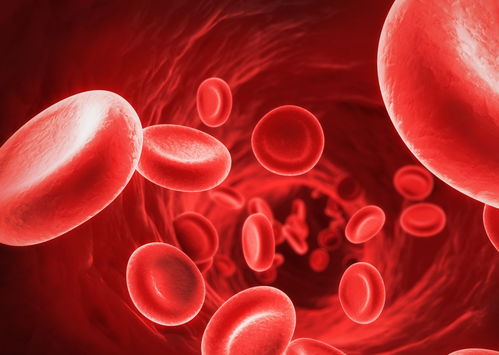 输液时输进去的液体都去了哪儿了？